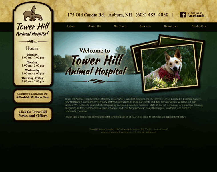 Towerhillvet.com thumbnail
