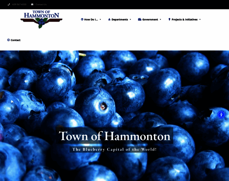 Townofhammonton.org thumbnail