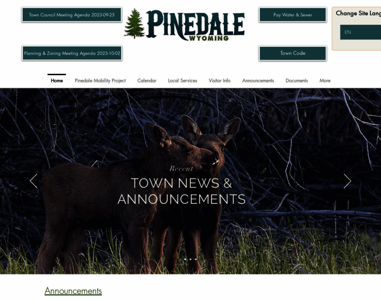 Townofpinedale.us thumbnail