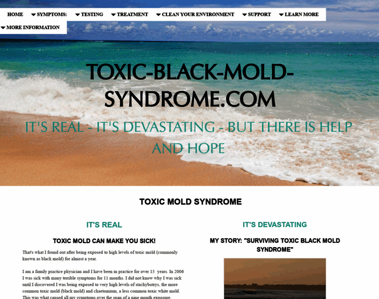 Toxic-black-mold-syndrome.com thumbnail