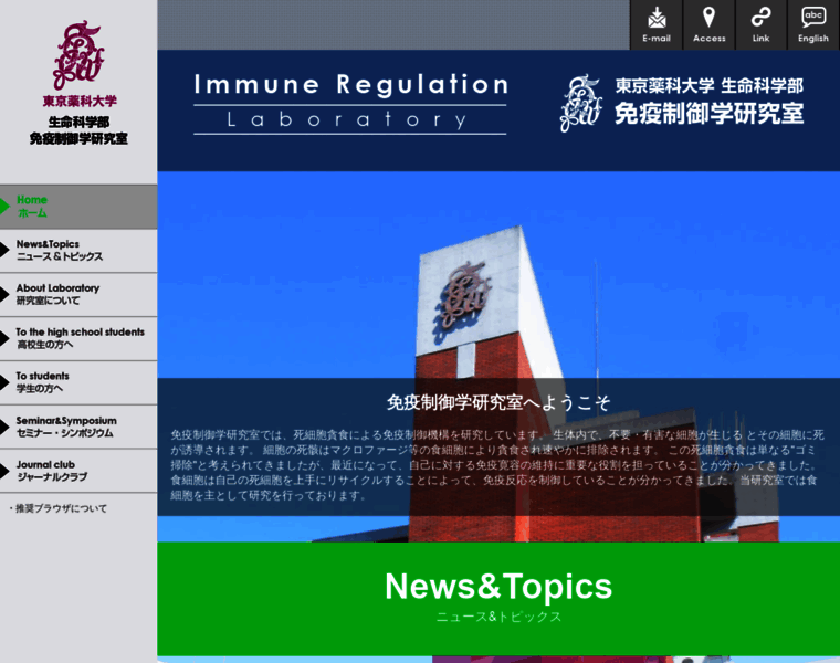 Toyaku-ls-immune.com thumbnail