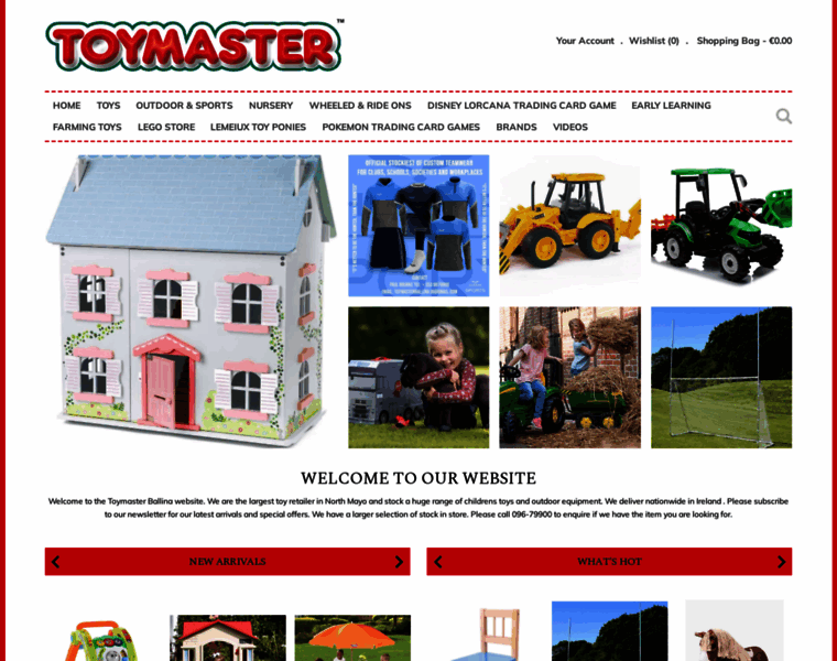 Toymasterballina.ie thumbnail