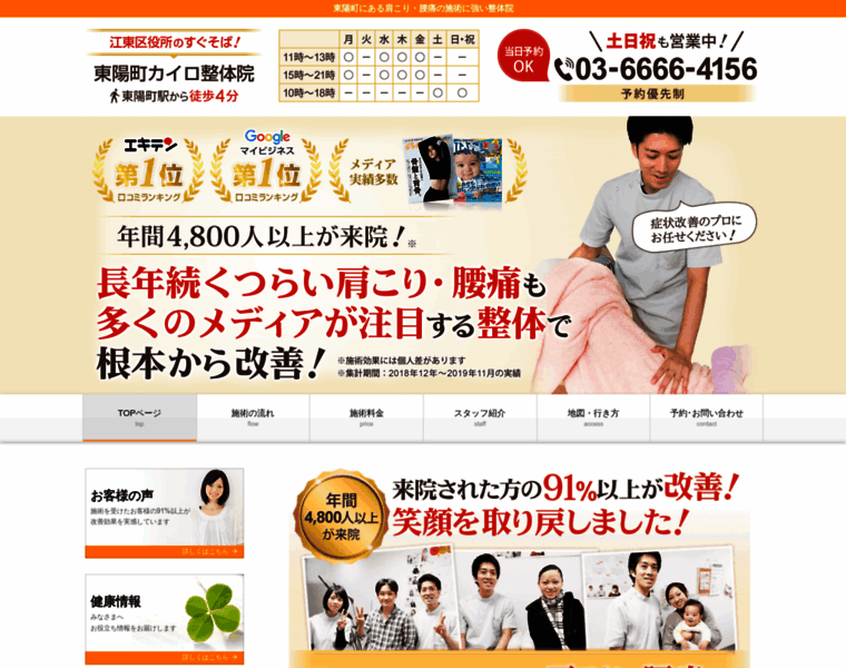 Toyocho-seitai.com thumbnail