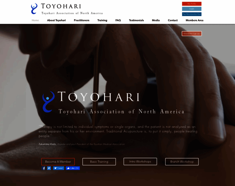 Toyohari.org thumbnail
