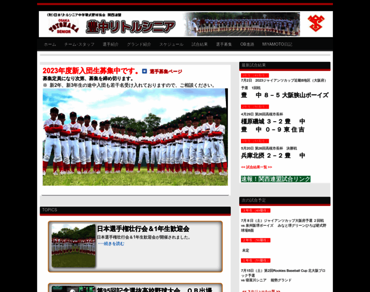 Toyonaka-league.com thumbnail