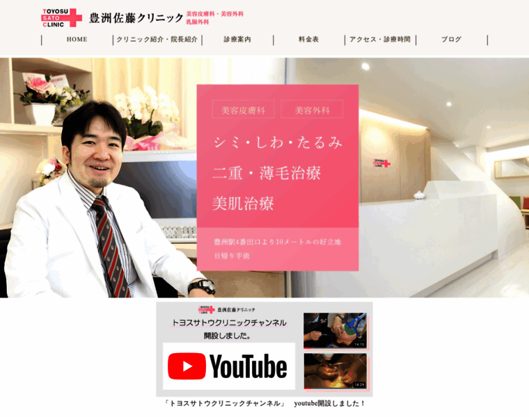 Toyosu-sato-clinic.com thumbnail