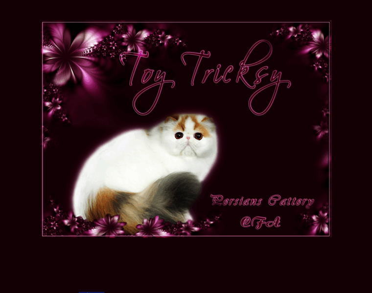 Toytricksy.com thumbnail