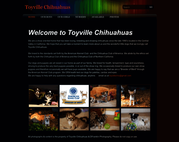 Toyvillechihuahuas.com thumbnail