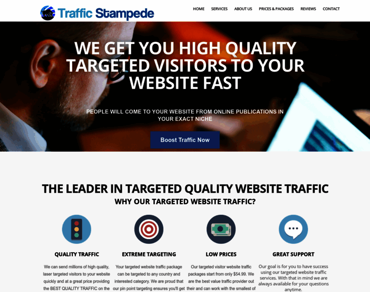 Traffic-stampede.com thumbnail