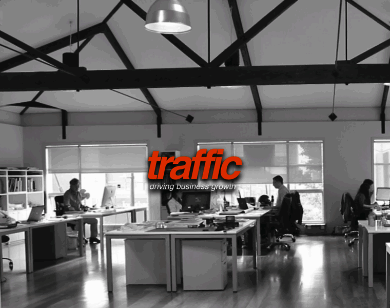 Traffic.net.nz thumbnail
