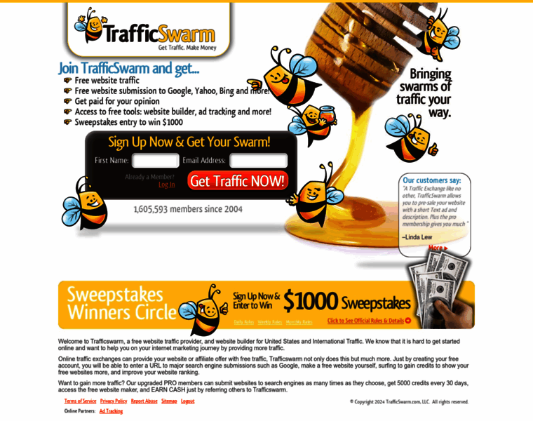 Trafficswarm.com thumbnail
