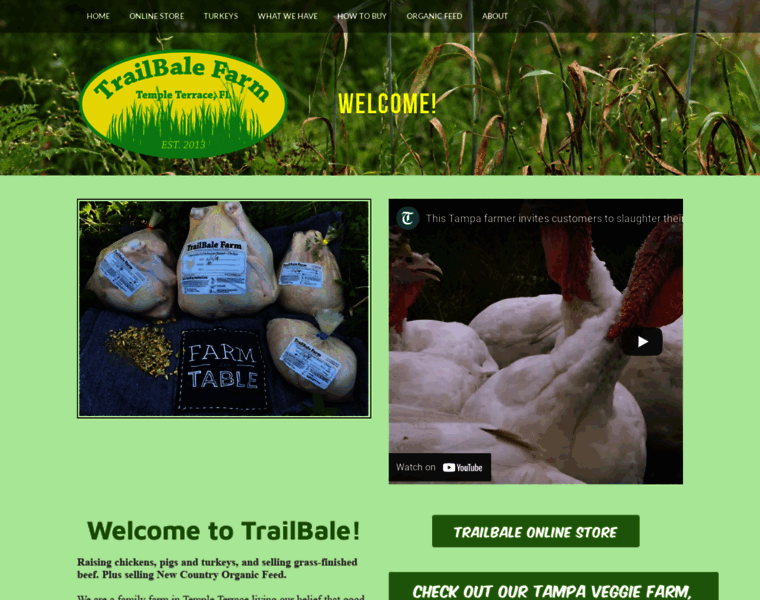 Trailbale.com thumbnail