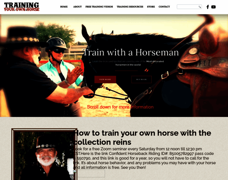 Trainingyourownhorse.com thumbnail