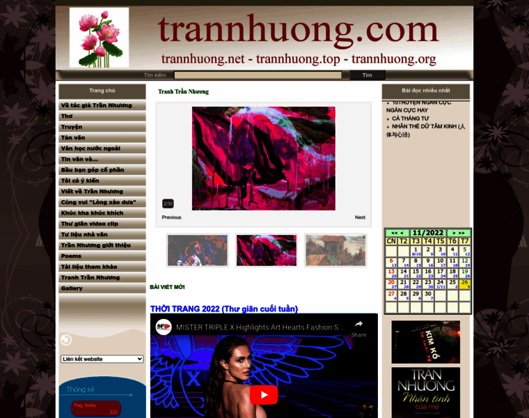 Trannhuong.net thumbnail