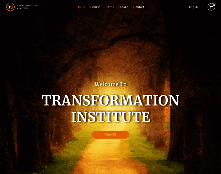 Transformationinstitute.org thumbnail
