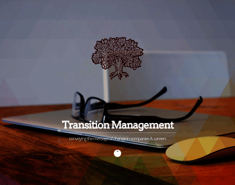 Transitionmanagement.us thumbnail