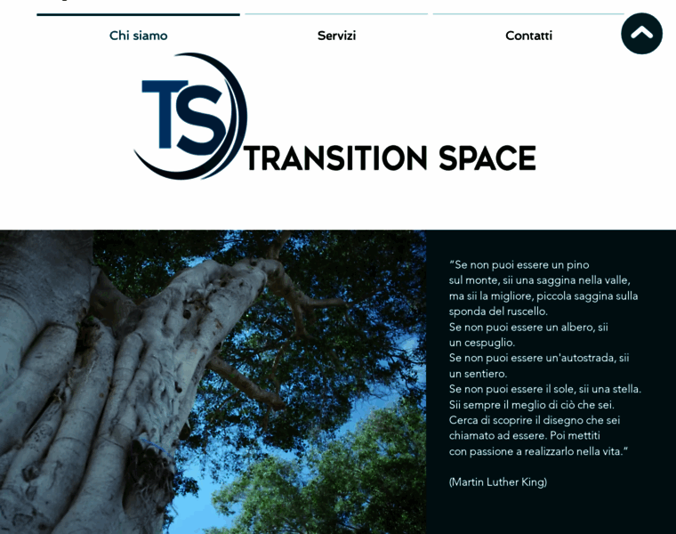 Transitionspace.it thumbnail