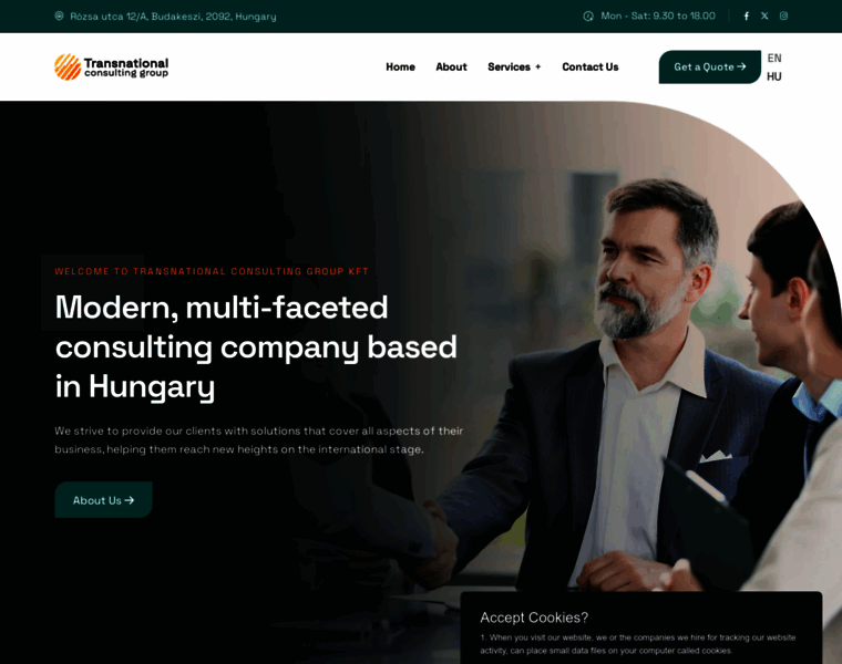 Transnationalconsulting.group thumbnail