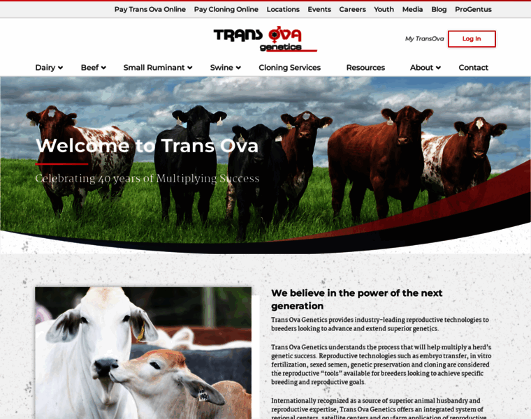 Transova.com thumbnail