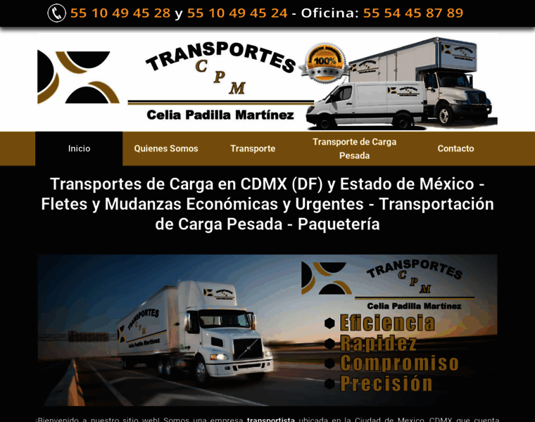 Transportesdecarga.com.mx thumbnail