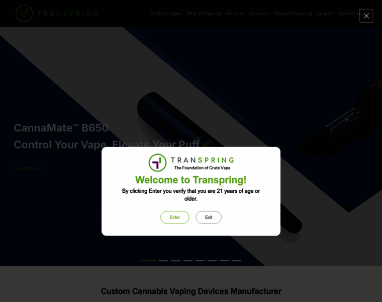 Transpring.com thumbnail Transpring.com thumbnail