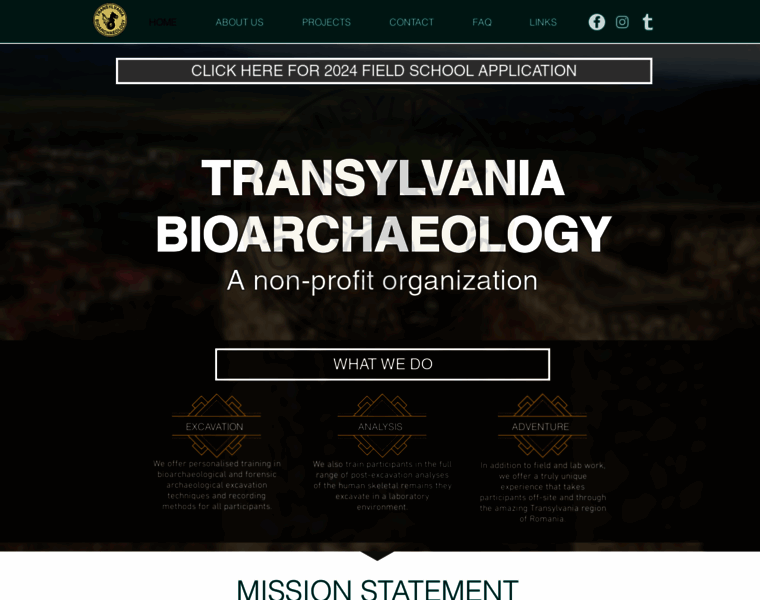 Transylvania-bioarchaeology.org thumbnail