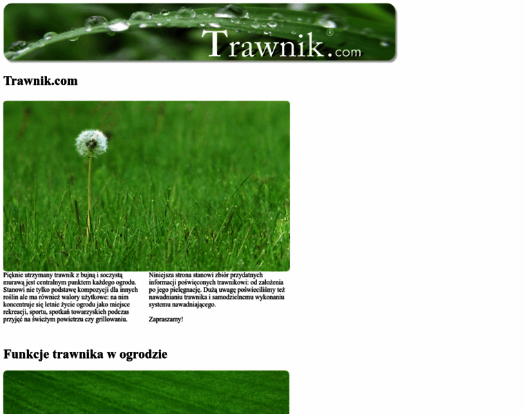 Trawnik.com thumbnail
