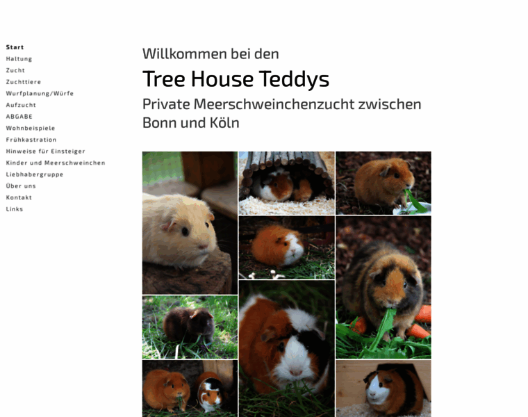 Tree-house-teddys.jimdofree.com thumbnail