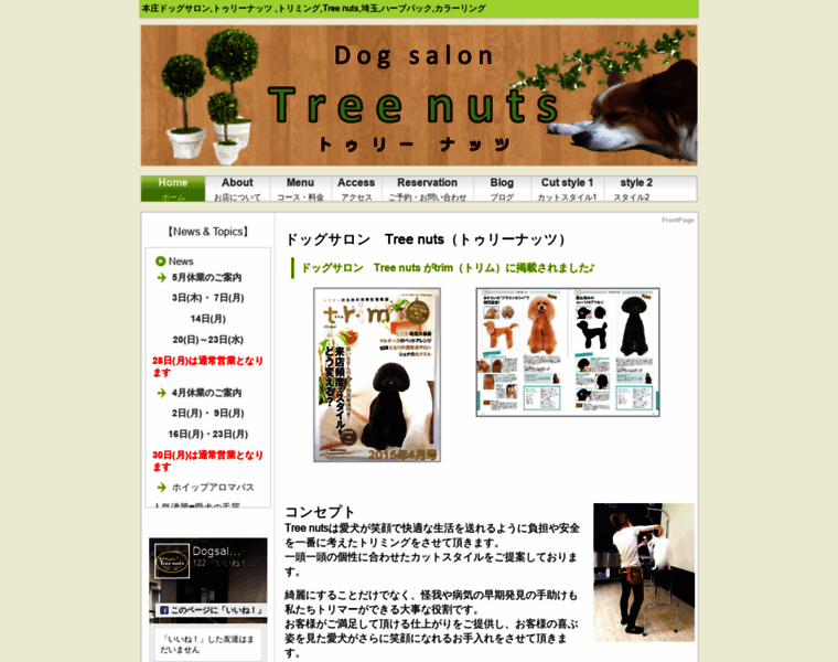 Tree-nuts.link thumbnail