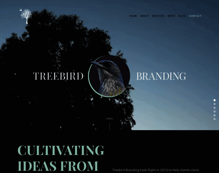 Treebirdbranding.com thumbnail