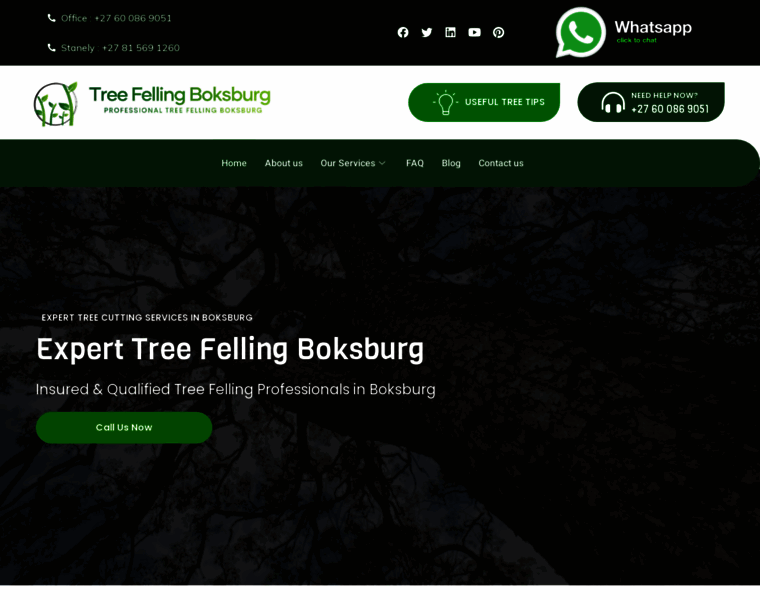 Treefellingboksburg-gauteng.co.za thumbnail
