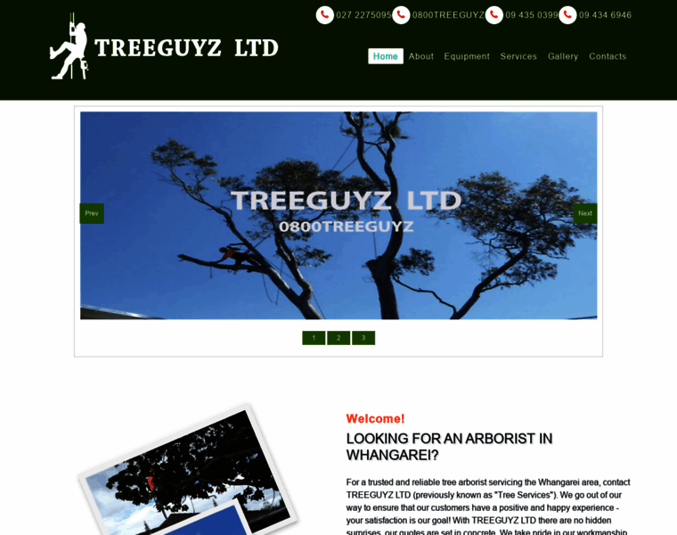 Treeguyz.co.nz thumbnail