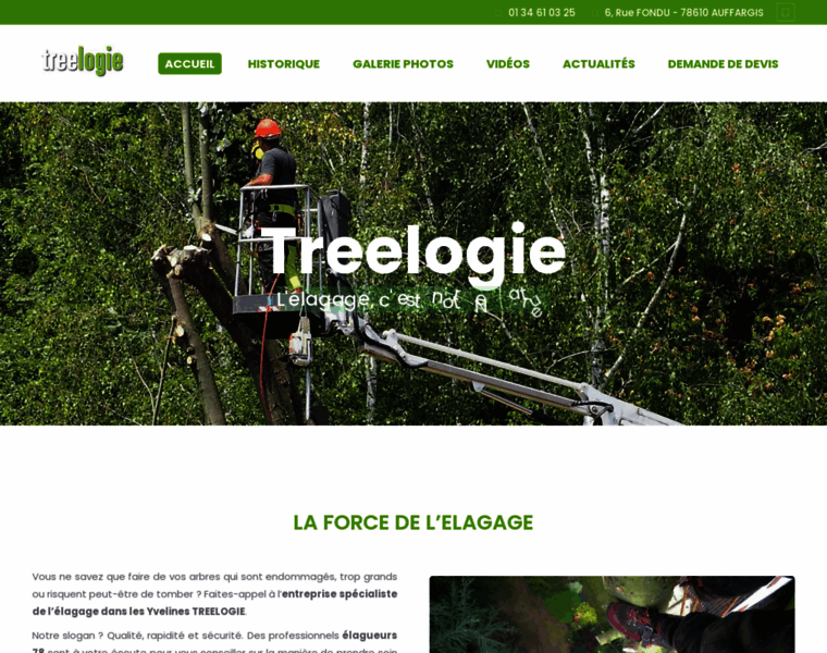 Treelogie.fr thumbnail