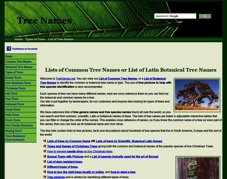 Treenames.net thumbnail