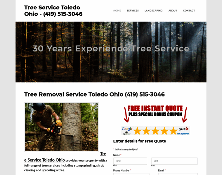 Treeservicetoledo.com thumbnail
