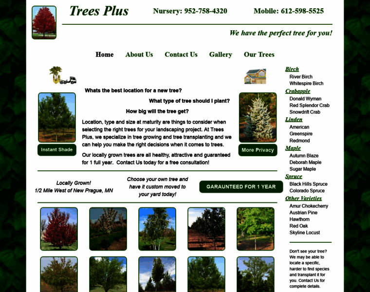 Treesplustrees.com thumbnail