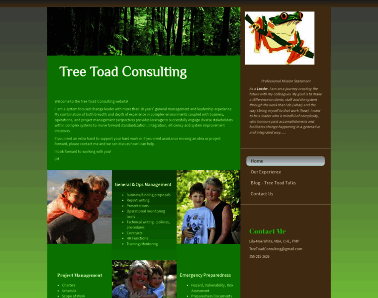 Treetoadconsulting.com thumbnail