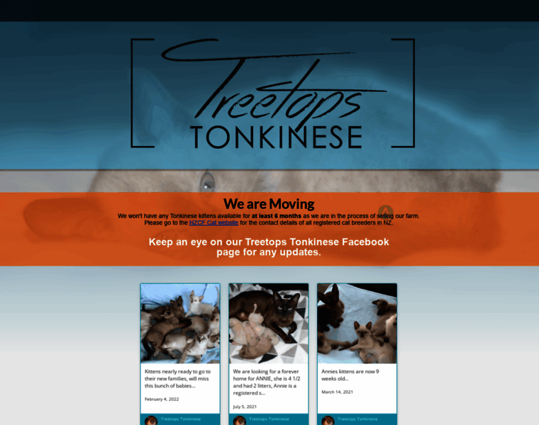 Treetops-tonkinese.co.nz thumbnail Treetops-tonkinese.co.nz thumbnail