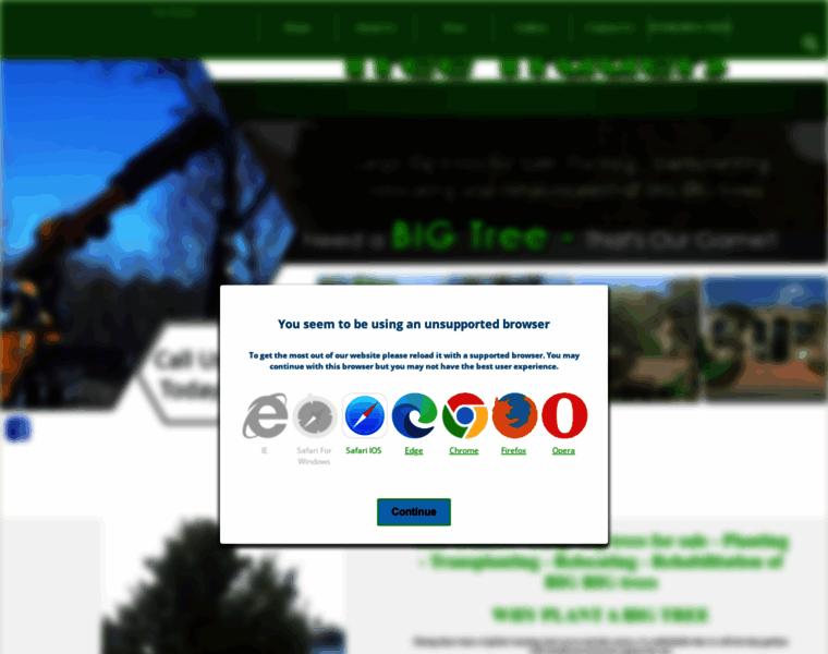 Treetraders.co.za thumbnail