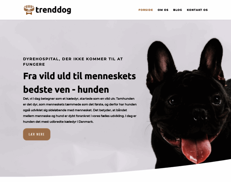 Trenddog.dk thumbnail
