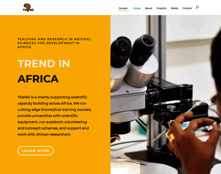 Trendinafrica.org thumbnail