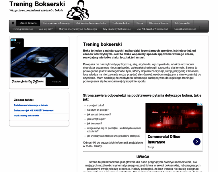 Treningbokserski.pl thumbnail