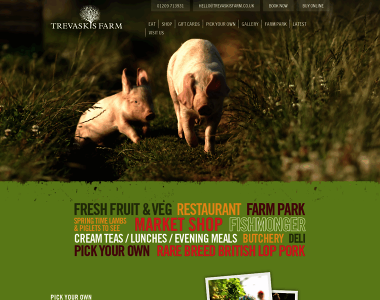 Trevaskisfarm.co.uk thumbnail