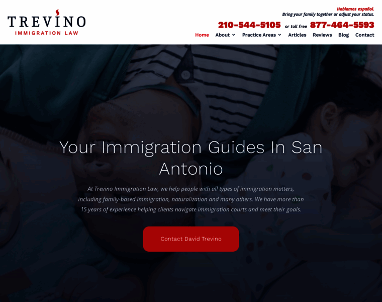 Trevinoimmigration.com thumbnail