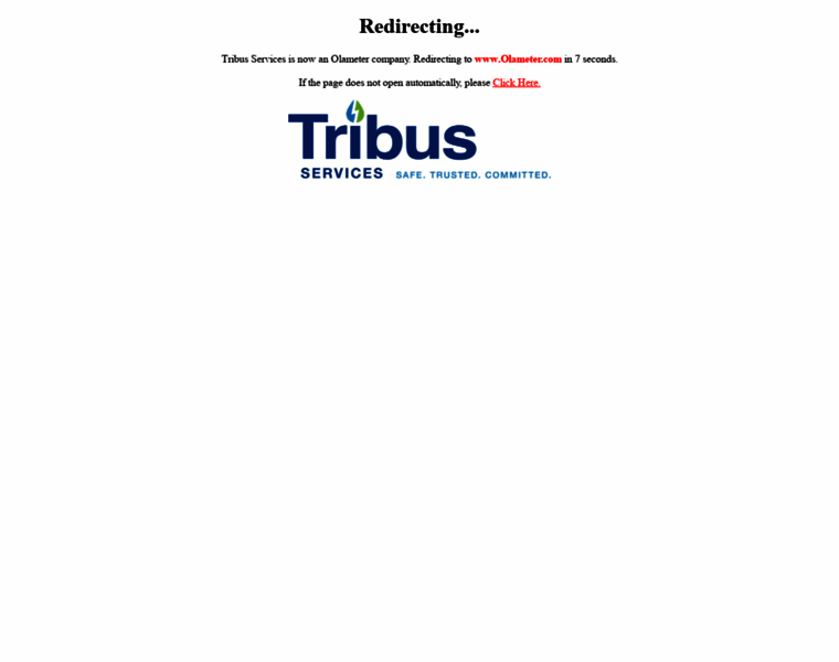 Tribusservices.com thumbnail