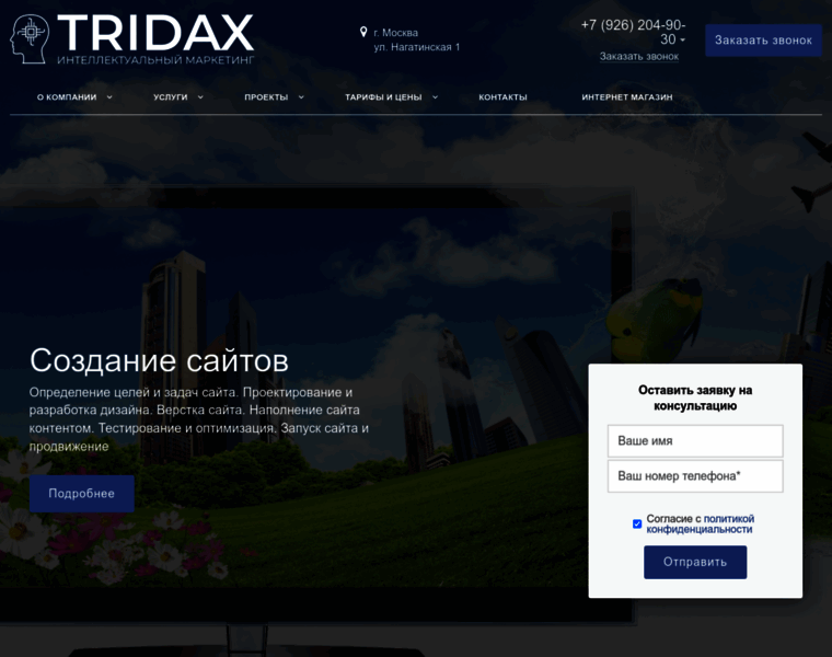 Tridax.ru thumbnail