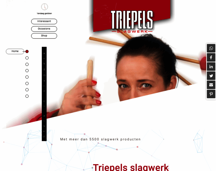 Triepels.com thumbnail