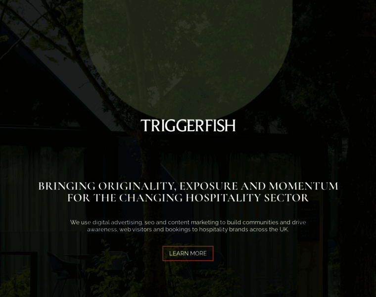 Triggerfish.co.uk thumbnail