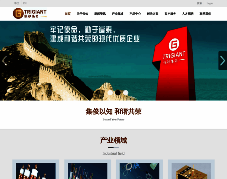 Trigiant.com.cn thumbnail