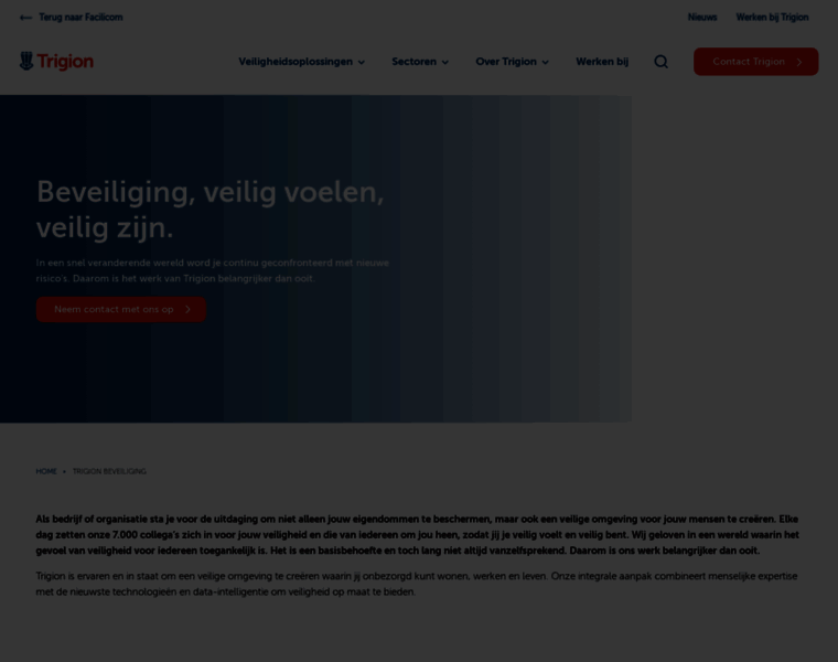 Trigion.nl thumbnail Trigion.nl thumbnail